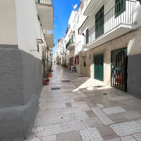 Acquasale Apartment "Altomare" Vieste Eksteriør bilde